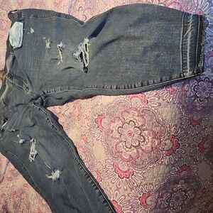 Torrid Super Soft Blue Jeggings